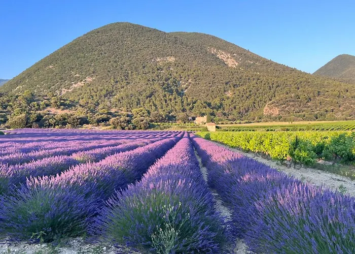 Maison Privee Style Provencal Grane